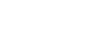 nettiv white logo