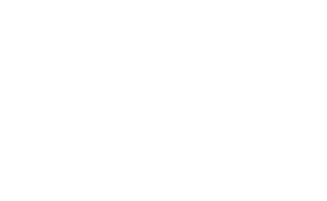 NETTIV WHITE LOGO