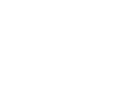 nettiv white logo